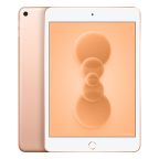 iPad mini 5 (2019) Wi-Fi 256GB oro ricondizionato