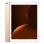 iPad Pro 12.9 (2017) Wi-Fi 256GB oro ricondizionato