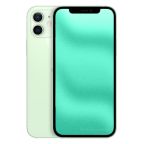 iPhone 12 Mini 256GB verde ricondizionato