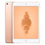 iPad mini 5 (2019) Wi-FI + 4G 256GB oro ricondizionato