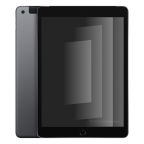 iPad 10.2 (2021) Wi-Fi + 4G 256GB grigio siderale ricondizionato