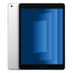iPad 10.2 (2021) Wi-Fi + 4G 256GB argento ricondizionato