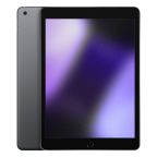 iPad 10.2 (2021) Wi-Fi 64GB grigio siderale ricondizionato