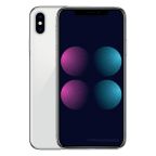 iPhone X 256GB argento ricondizionato