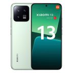 13 (dual sim) 128GB verde ricondizionato